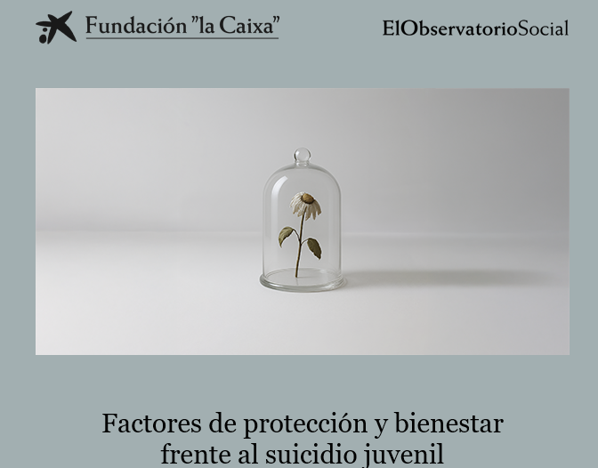 Newsletter - Fundacion 