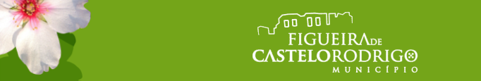 Figueira de Castelo Rodrigo constitui Núcleo Local da Garantia para a Infância